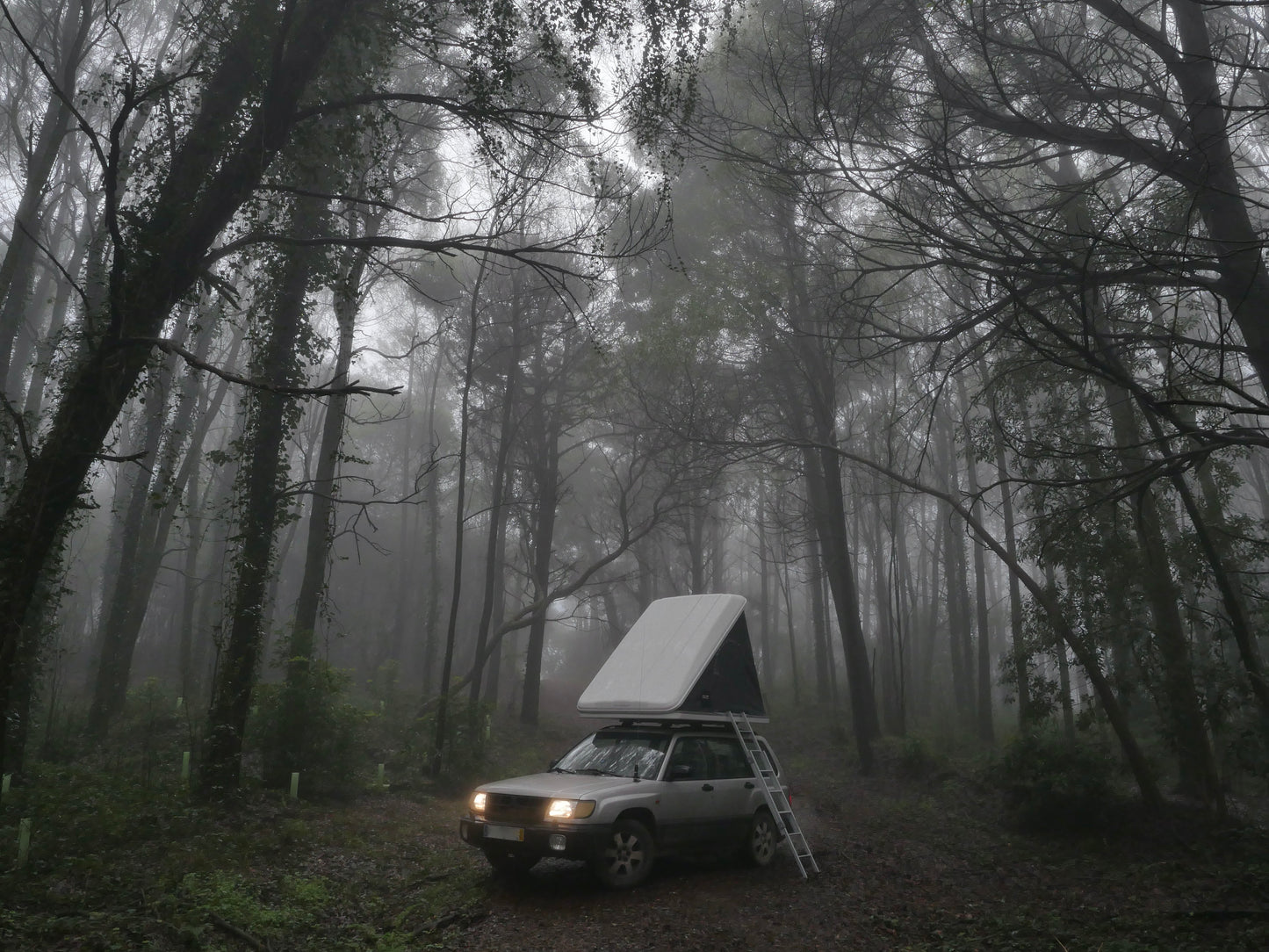 Tenda Tejadilho Cunha Columbus Floresta SUV Subaru