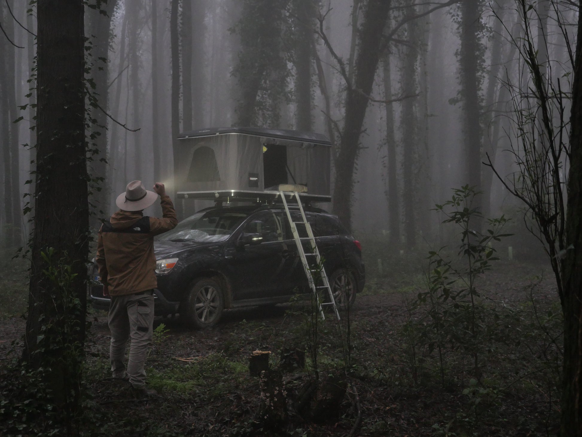 Autohome Maggiolina blackstorm Forest