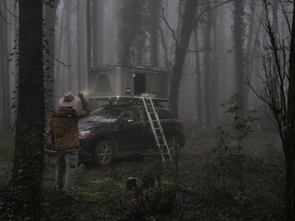 Autohome Maggiolina blackstorm Forest